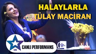 Halaylarla Tülay Maciran  Canlı Performans 2024 [upl. by Assil]