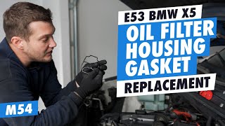 DIY E53 BMW X5 Oil Filter Housing Gasket Replacement M54 [upl. by Reisfield]