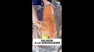 Salmon a la dishwasher [upl. by Yanttirb492]