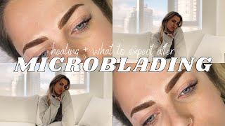 MICROBLADING HEALING PROCESS What to Expect PostMicroblading QampA [upl. by Ressay]