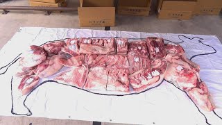 【牛肉の部位丸わかり】肉屋の店主が実際に部位を並べて解説します [upl. by Kan]