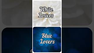 White Lover VS Blue Lover bluebutterfly shorts youtube [upl. by Nair]