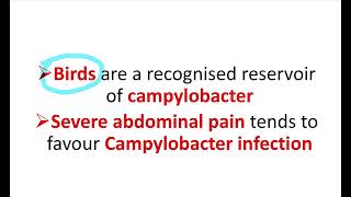 campylobacter Clinical microbiology MRCS question solve CRACK MRCS [upl. by Snell]