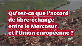 VIDEO Questce que laccord de libre échange entre le Mercosur et lUnion européenne [upl. by Duong379]