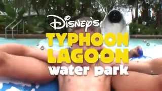 Disneys Typhoon Lagoon Water Park [upl. by Marielle]