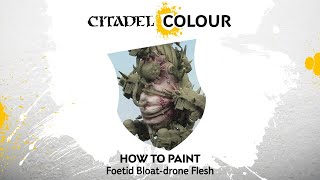 How to Paint Death Guard Foetid Bloatdrone Flesh [upl. by Ahsenauj303]