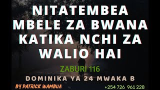 Nitatembea Mbele Za Bwana Katika Nchi Za Walio Hai By Patrick Wambua  Dominika Ya 24 Mwaka B [upl. by Aihsa858]