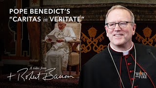 Bishop Barron on Pope Benedicts quotCaritas in Veritatequot [upl. by Michaele]