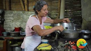 Deliciosa receta de sopa de arracacha ¡Sabor reconfortante en cada cucharada [upl. by Hahseram]