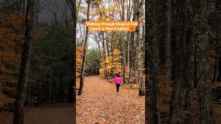 Fall Colors in New Hampshire  Sabbaday Falls Trail Kancamagus Hwy  Oct 22 2023 explore travel [upl. by Calista]