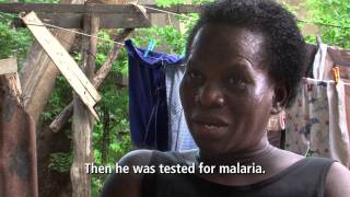 Insight Malaria  EN [upl. by Aerdnuahs]