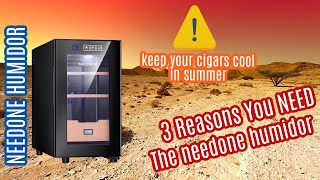 3 Reasons You NEED THIS Humidor [upl. by Aleb643]