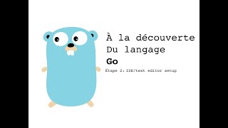 02  Introduction à Go golang Choix dun éditeur de texte  plugins Niveau débutant [upl. by Enairb]