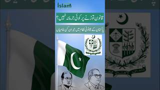 Pakistans Constitution EXPOSED The Shocking Flaws You Never Knew [upl. by Gayl661]