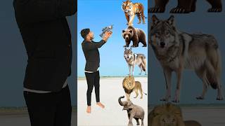 Will Animals To Wild Animals Name Talking shorts mmmrazz funny comedy [upl. by Etem]