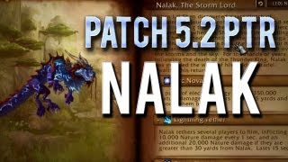 quotNalak The Storm Lordquot World Boss Guide → Patch 52 PTR [upl. by Carey]