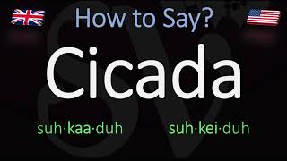 How to Pronounce Cicada British Vs American Pronunciation  Spanish [upl. by Curtice565]