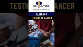 Testicular Cancer Symptoms causes and treatment  drmitra prostate earlydetection [upl. by Anahsahs]