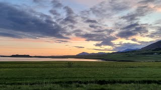 Summertime Migratory Birds of Iceland [upl. by Garber]