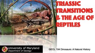 Lecture 15 The Triasssic Radiations amp the Age of Reptiles [upl. by Osher]