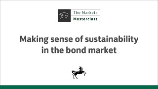 Making sense of sustainability in the bond market [upl. by Yejus977]