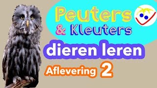 Dierennamen  Eerste Woordjes  Dieren Leren Aflevering 2 Peuters en Kleuters [upl. by Yrevi36]