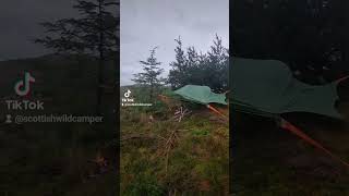 Tree tent camping in the Tentsile Connect 30 A wild night camping wildcamping treetent [upl. by Kassi942]