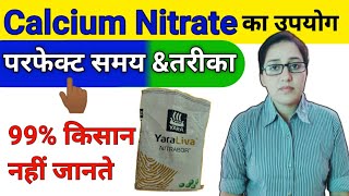 Calcium Nitrate fertilizer  how to use calcium nitrate  calcium nitrate with boron fertilizer [upl. by Onateyac]