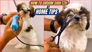 How to Groom Shih Tzu Dog🐕 at Home Tips in Telugu  Dog Grooming Videos  Pet Lovers [upl. by Ffilc823]