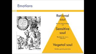 Newton Slides  QMUL  2015 [upl. by Laehplar375]