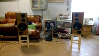 Scanspeak Discovery 3w classic by Troels Gravesen DIY speakers [upl. by Draw92]