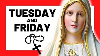 THE SORROWFUL MYSTERIES TODAY HOLY ROSARY TUESDAY amp FRIDAY  THE HOLY ROSARY TUESDAY amp FRIDAY [upl. by Narcis]