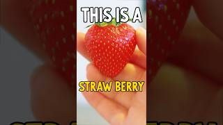 DEseeding a Strawberry RESULTS ARE SHOCKING naznorris norrisnuts [upl. by Aiek]