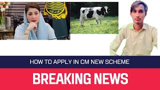 How to apply in cm new schemejam Awais tvAll kind of information available [upl. by Ycal]