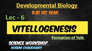 Vitellogenesis  Formation of Yolk  Developmental Biology 6  By Kusum Chaudhary [upl. by Hatcher]