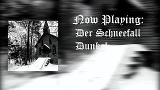 True Canadian Depressive Black Metal  Der SchneefallAbgeschiedenheit Split [upl. by Stroud314]