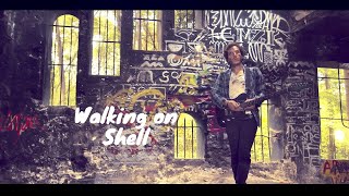 Clock Stretcher  Walking on Shell Official video [upl. by Naihtsirc916]