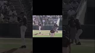 Throwback to when Randy Johnson Hit a Bird [upl. by Selmner]