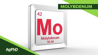 Molybdenum 1083 Air Date 1619 [upl. by Llerrot821]