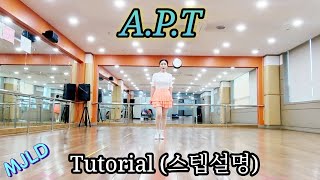 APT Line DanceMuhammad Yani INA  October 2024아파트 라인댄스 [upl. by Jo Ann]