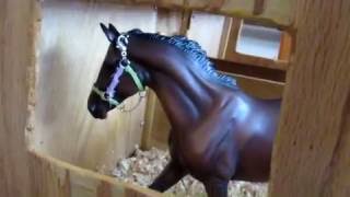 Breyer Horse Music Video  Never forget you [upl. by Inalaek]