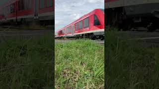 S 23 nach Euskirchen Bonn deutschebahn sbahn [upl. by Nnodnarb]