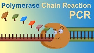 HOW TO DO POLYMERASE CHAIN REACTION PCR [upl. by Ahsieuqal]