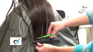 How to Straight Cut Hair  Step by Step Tutorial Back Tutorial [upl. by Labotsirc]