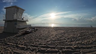 Running the Deus 13inch coil on Fort Lauderdale Beach detecting [upl. by Jerad44]