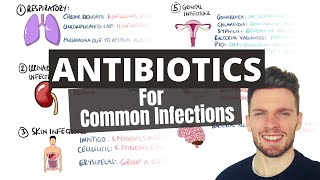 Antibiotic Choices for Common Infections Antibiotics Mnemonic  How to Choose an Antibiotic [upl. by Adabelle]