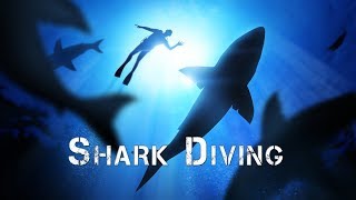 Adventure Africa  Diving With Sharks [upl. by Sydney]