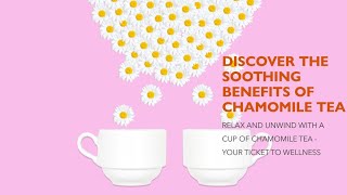 Discover the Top 10 Benefits of Chamomile Tea [upl. by Pennie208]