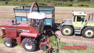 Silage 2020 Vintage style🤠👍 2 harvesters amp 6 tractors Mogeely vintage club [upl. by Kenrick426]