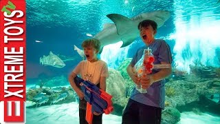 Teleport Trouble Part 2 Nerf Battle in the Aquarium [upl. by Nunnery]